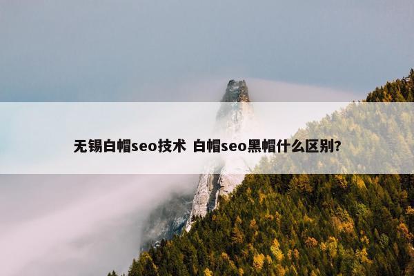 无锡白帽seo技术 白帽seo黑帽什么区别?