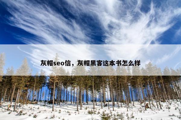 灰帽seo信，灰帽黑客这本书怎么样