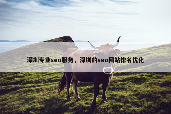 深圳专业seo服务，深圳的seo网站排名优化