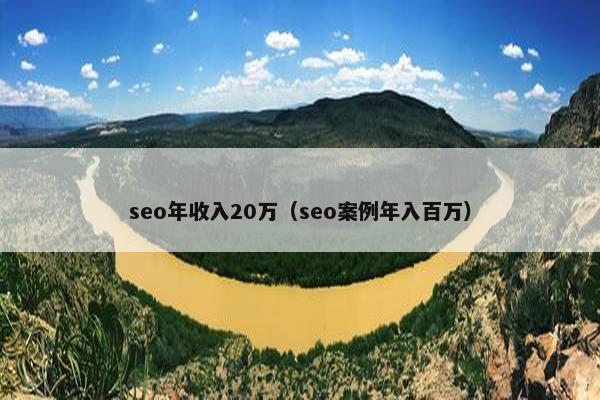 seo年收入20万（seo案例年入百万）