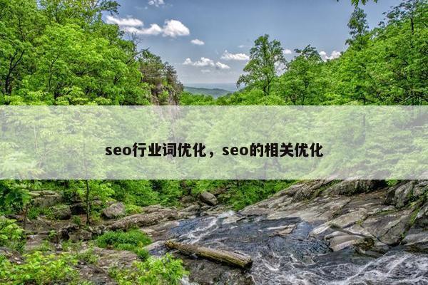 seo行业词优化，seo的相关优化