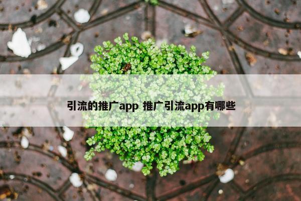 引流的推广app 推广引流app有哪些