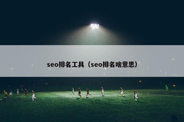 seo排名工具（seo排名啥意思）