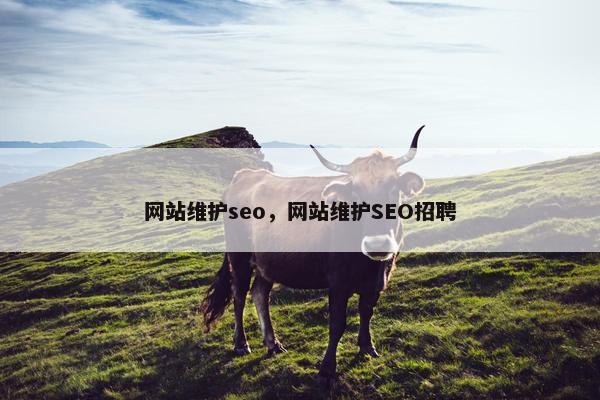 网站维护seo，网站维护SEO招聘