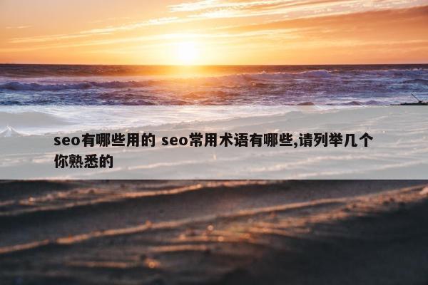 seo有哪些用的 seo常用术语有哪些,请列举几个你熟悉的