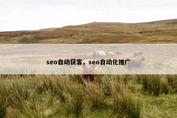 seo自动获客，seo自动化推广