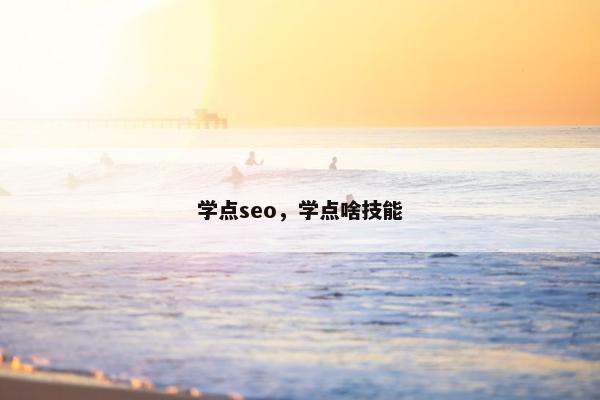 学点seo，学点啥技能