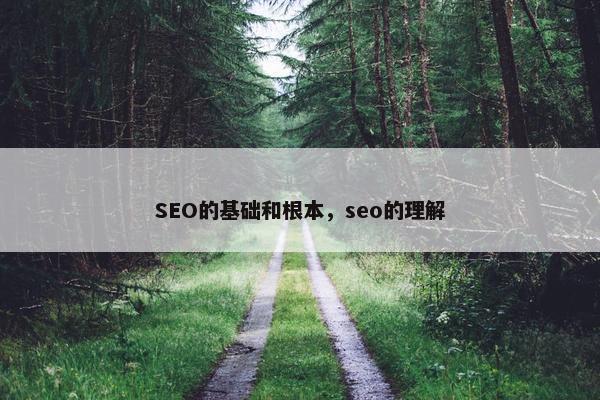 SEO的基础和根本，seo的理解