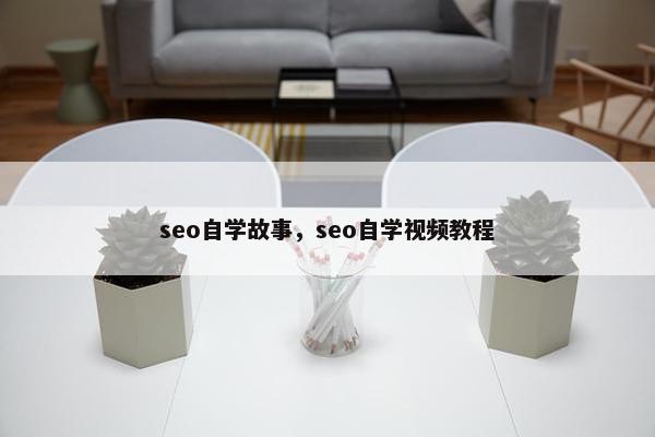 seo自学故事，seo自学视屏教程