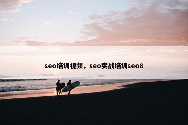 seo培训视屏，seo实战培训seo8