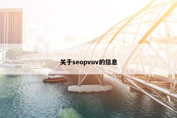 关于seopvuv的信息