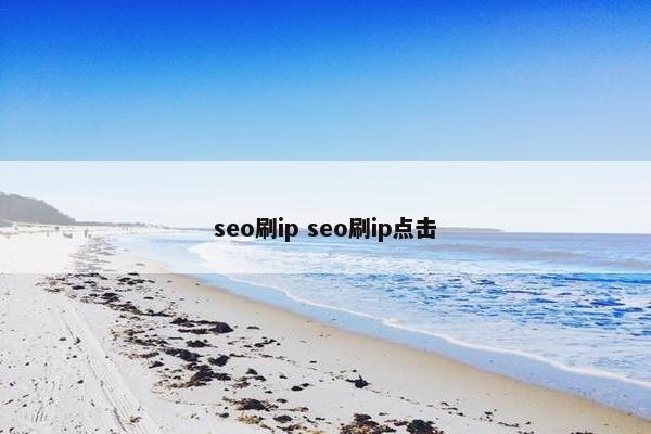 seo刷ip seo刷ip点击