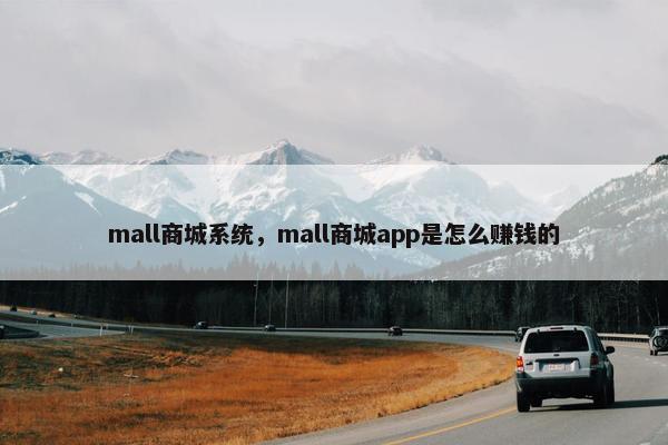 mall商城系统，mall商城app是怎么赚钱的