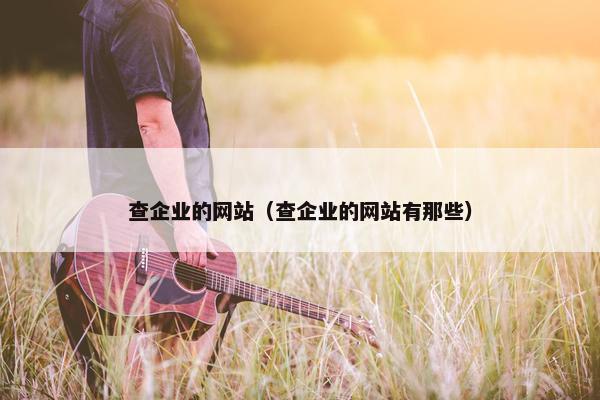 查企业的网站（查企业的网站有那些）