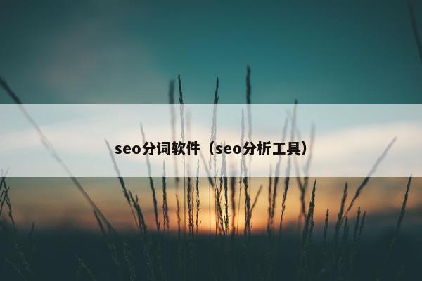 seo分词软件（seo分析工具）