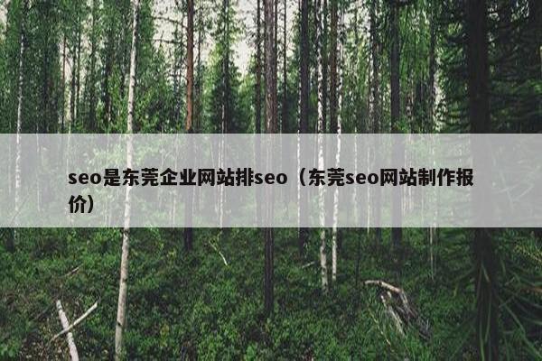 seo是东莞企业网站排seo（东莞seo网站制作报价）