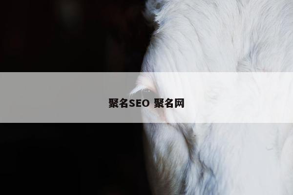 聚名SEO 聚名网