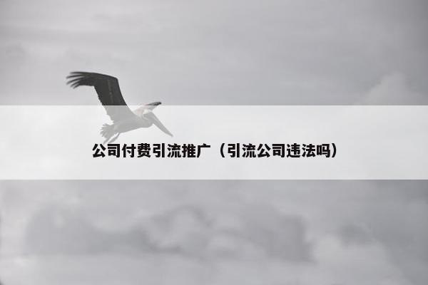 公司付费引流推广（引流公司违法吗）