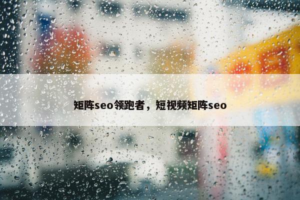 矩阵seo领跑者，短视屏矩阵seo