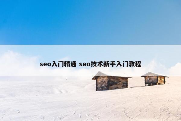 seo入门精通 seo技术新手入门教程