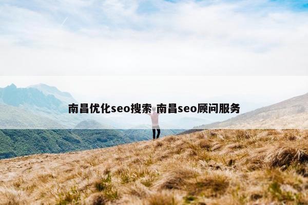 南昌优化seo搜索 南昌seo顾问服务