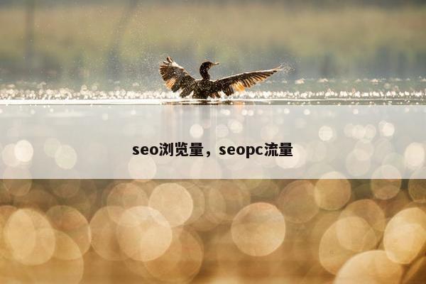 seo浏览量，seopc流量