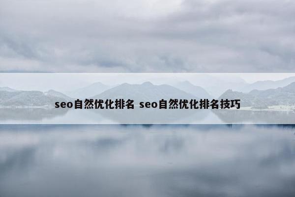 seo自然优化排名 seo自然优化排名技巧