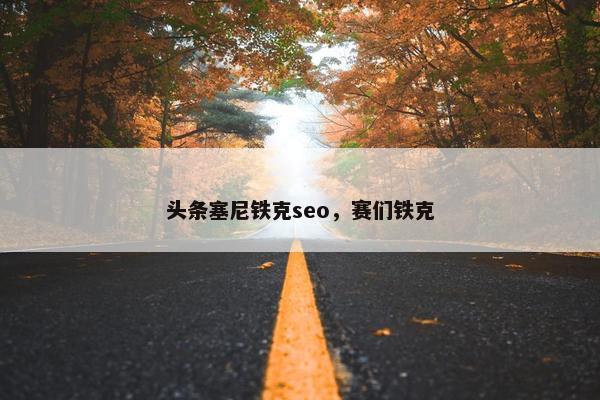 头条塞尼铁克seo，赛们铁克