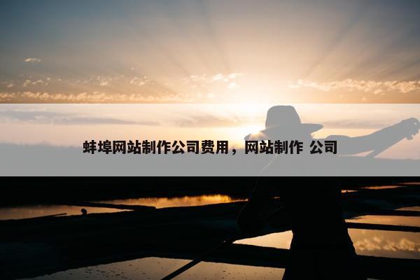 蚌埠网站制作公司费用，网站制作 公司