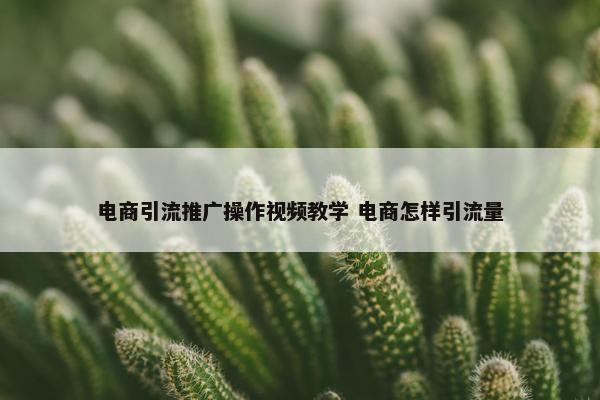 电商引流推广操作视屏教学 电商怎样引流量