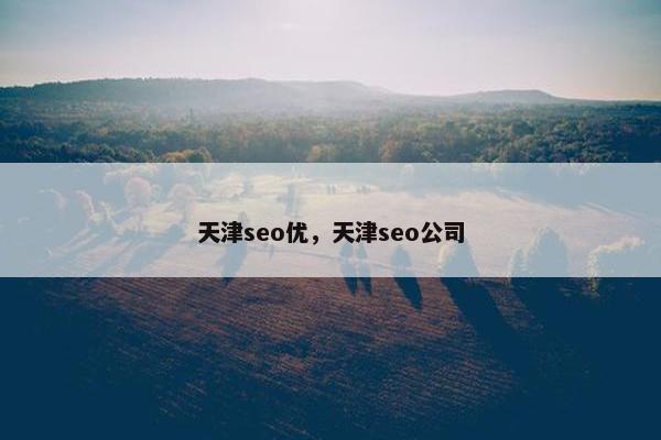 天津seo优，天津seo公司