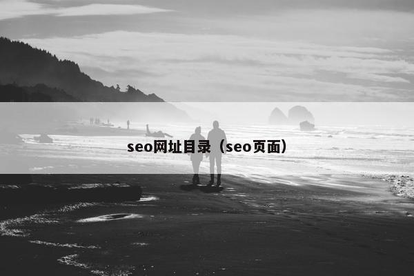 seo网址目录（seo页面）