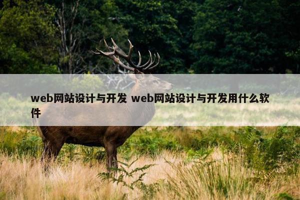 web网站设计与开发 web网站设计与开发用什么软件