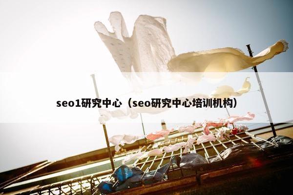 seo1研究中心（seo研究中心培训机构）