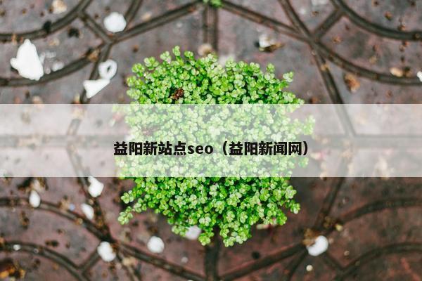 益阳新站点seo（益阳新闻网）