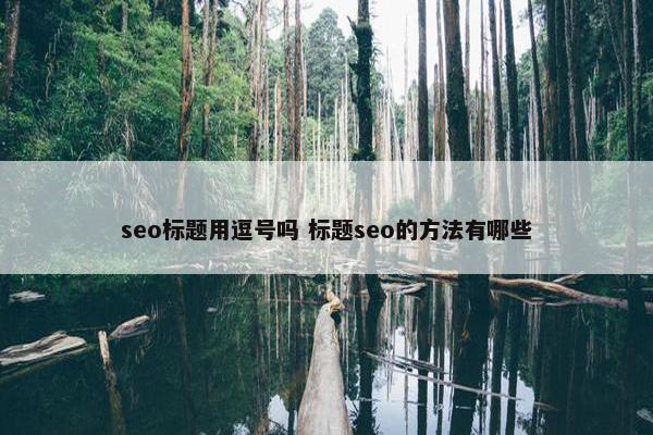 seo标题用逗号吗 标题seo的方法有哪些