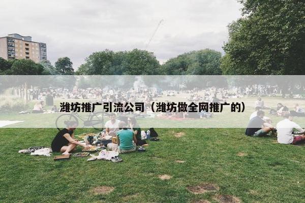 潍坊推广引流公司（潍坊做全网推广的）