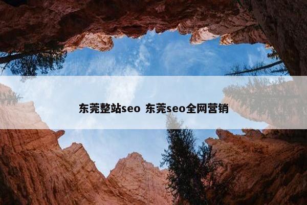 东莞整站seo 东莞seo全网营销