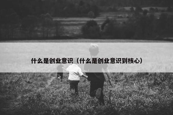 什么是创业意识（什么是创业意识到核心）