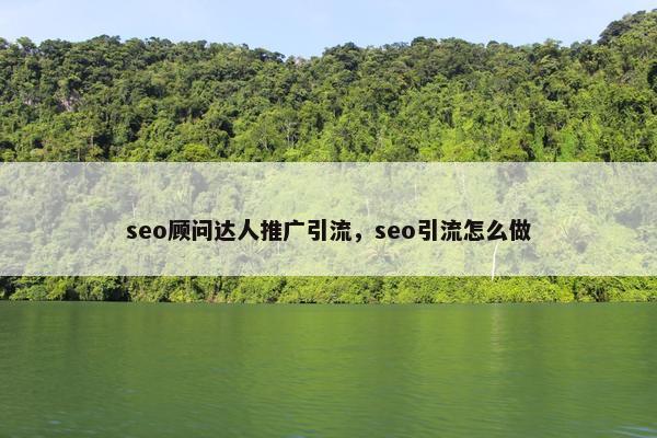 seo顾问达人推广引流，seo引流怎么做