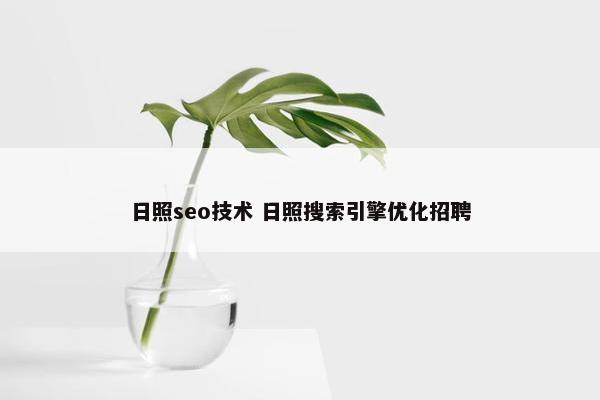 日照seo技术 日照搜索引擎优化招聘