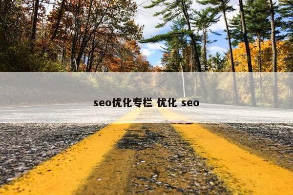 seo优化专栏 优化 seo