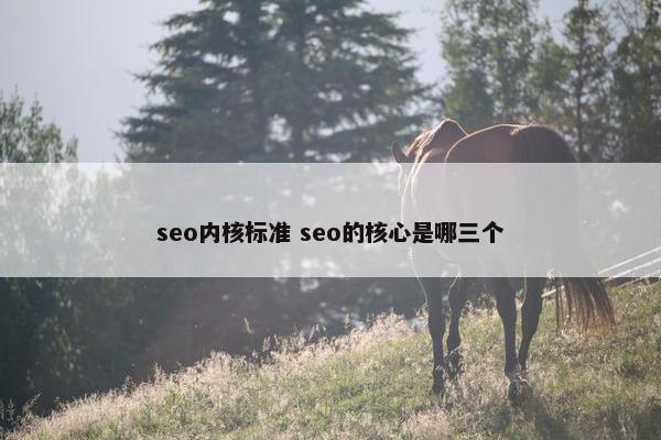 seo内核标准 seo的核心是哪三个