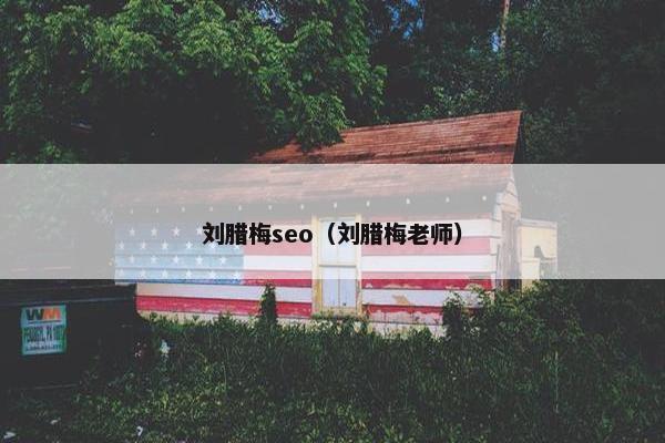 刘腊梅seo（刘腊梅老师）