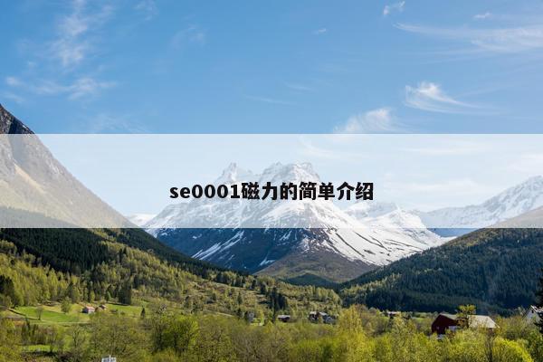 se0001磁力的简单介绍