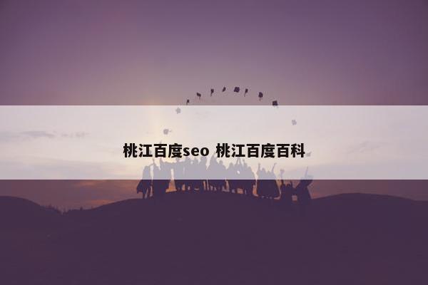 桃江百度seo 桃江百度百科