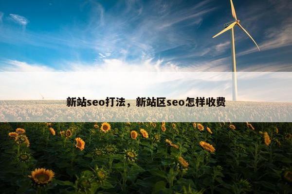 新站seo打法，新站区seo怎样收费