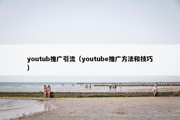 youtub推广引流（youtube推广方法和技巧）