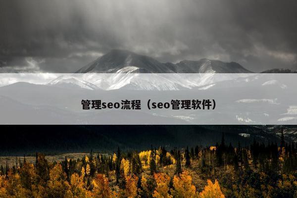 管理seo流程（seo管理软件）