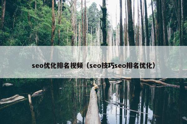 seo优化排名视屏（seo技巧seo排名优化）